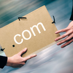 Importance of Having Your Own Domain Name for Your Business